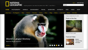 想买手机号轰炸业务网